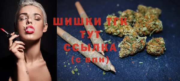 винт Гусь-Хрустальный