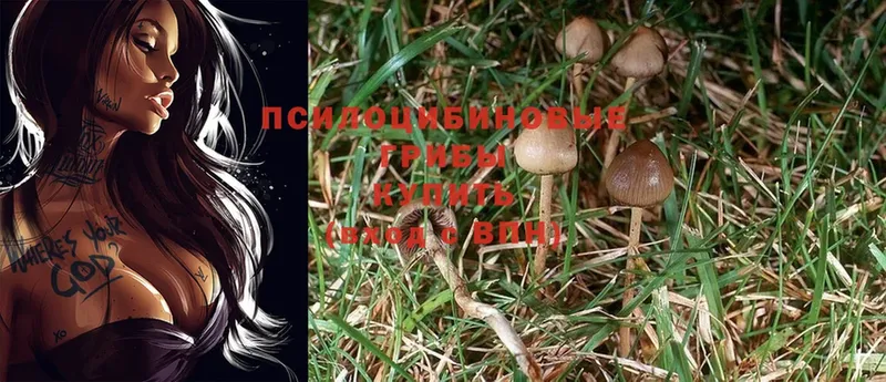 Галлюциногенные грибы Magic Shrooms  Лобня 